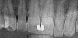 The Dental Studio