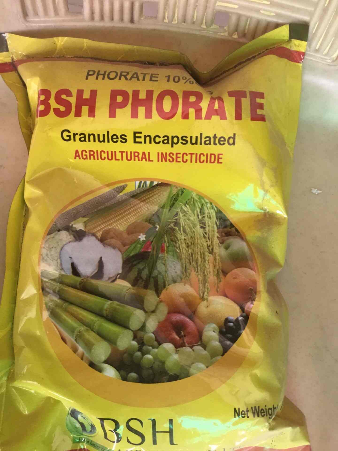 Top Plant Pot Dealers in Indore Best Plant Bowl Dealers near me