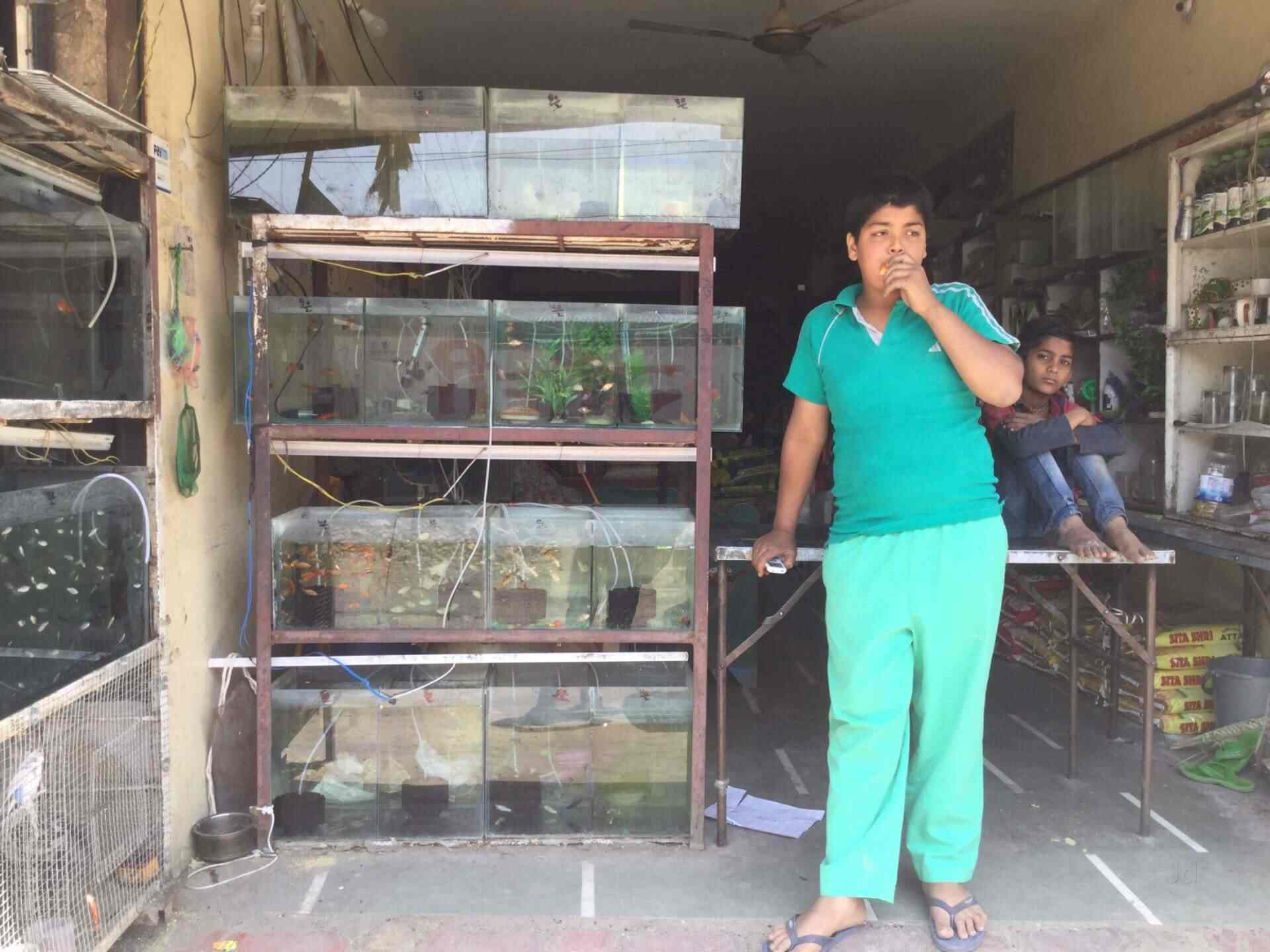 Farookh Fish & Birds Home