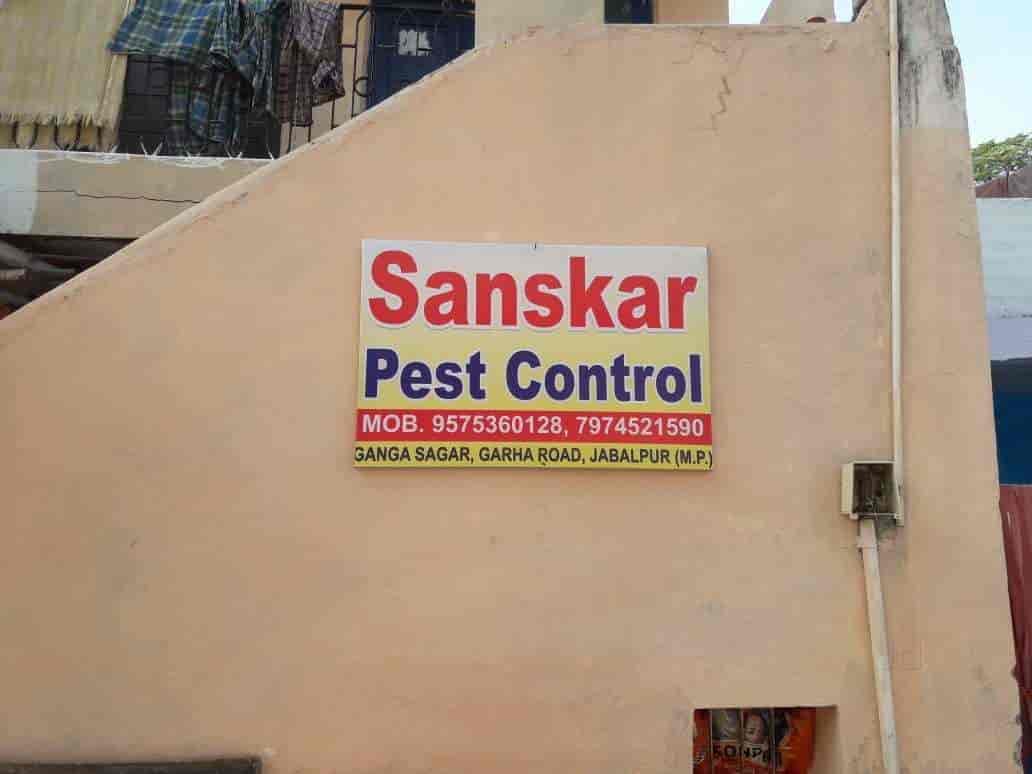 Top Herbal Pest Control Services in Jabalpur near me Justdial