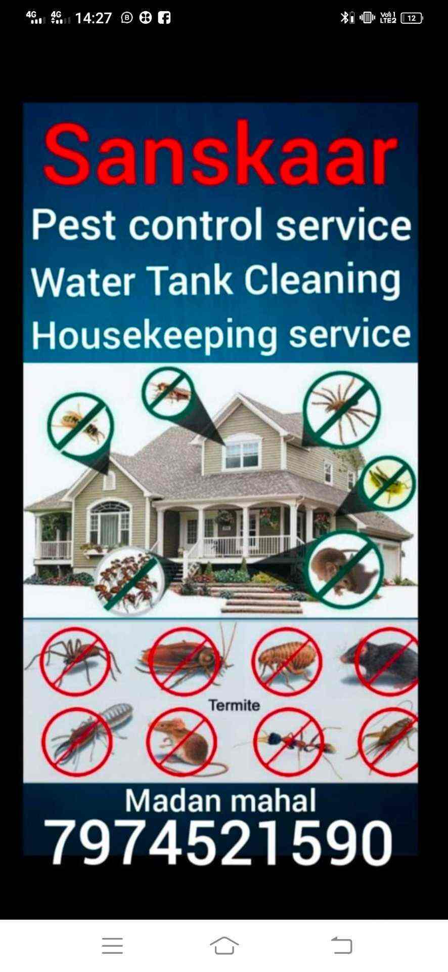 Top Herbal Pest Control Services in Jabalpur near me Justdial