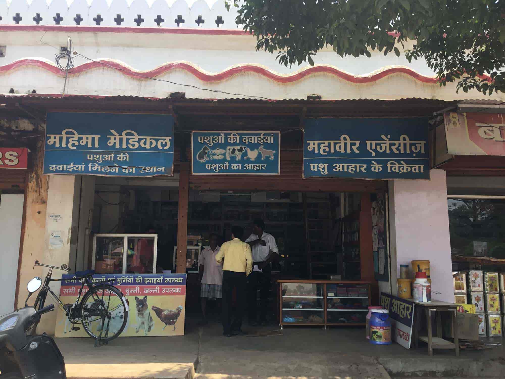 Mahima Veterinary Shop in Jagdalpur Ho,Bastar Best Veterinary
