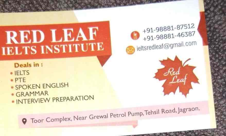Red Leaf Ielts in Tehsil Road,Ludhiana Best Institutes For IELTS in