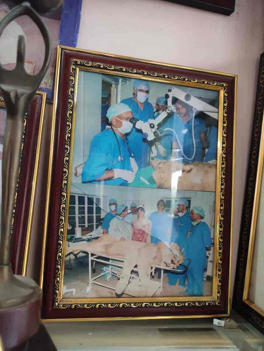 Top Pet Shops For Birds in Bhagwan Nagar Best Bird Shops Jaipur near