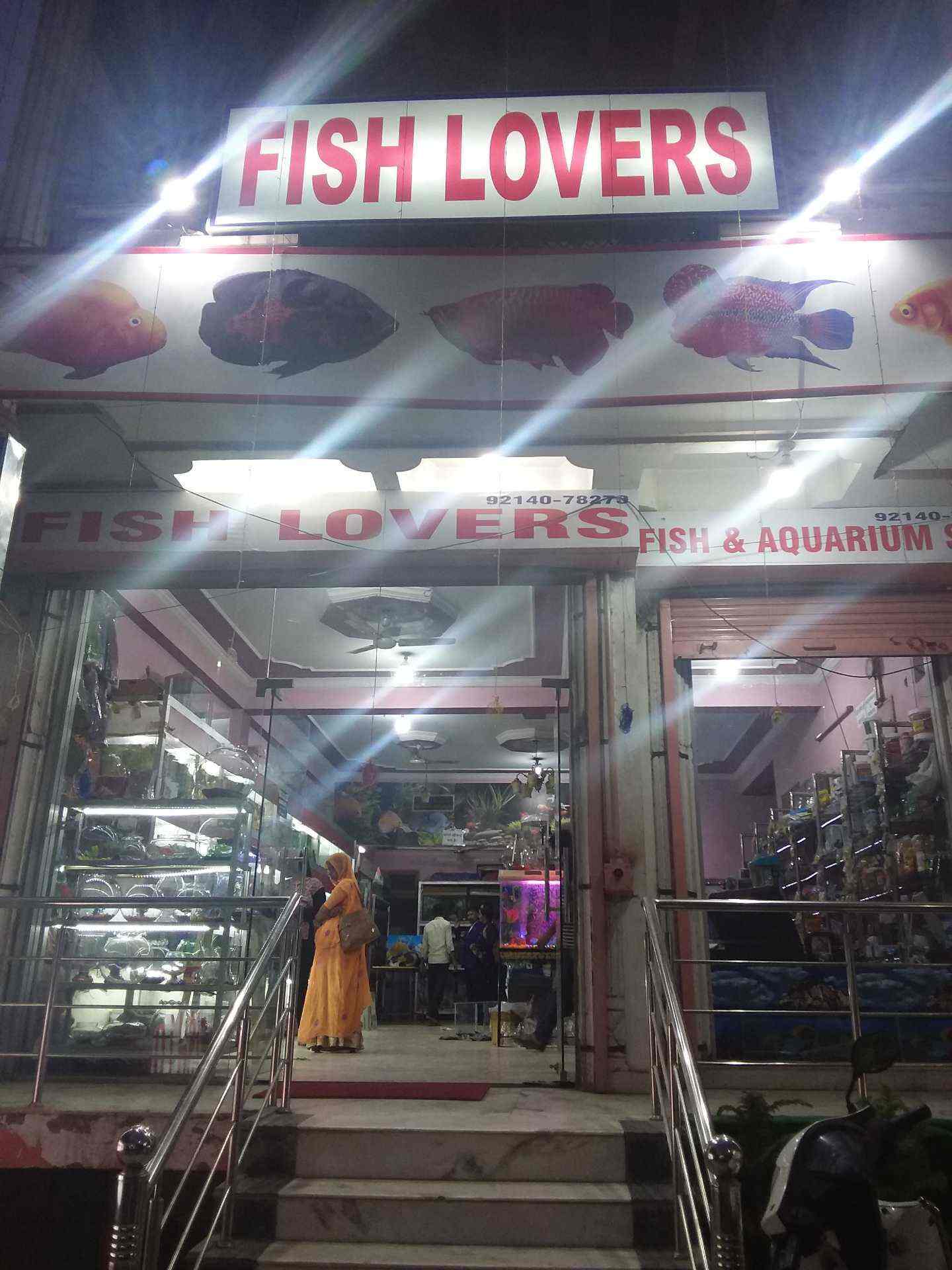 Top Aquarium Albino Cherry Barb Fish Dealers in Jaipur near me Justdial