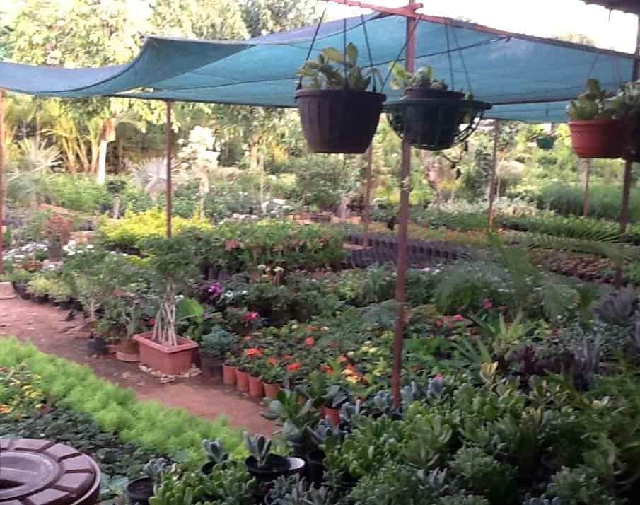 Catalogue Shree Balaji Nursery in Mansarovar , Jaipur Justdial