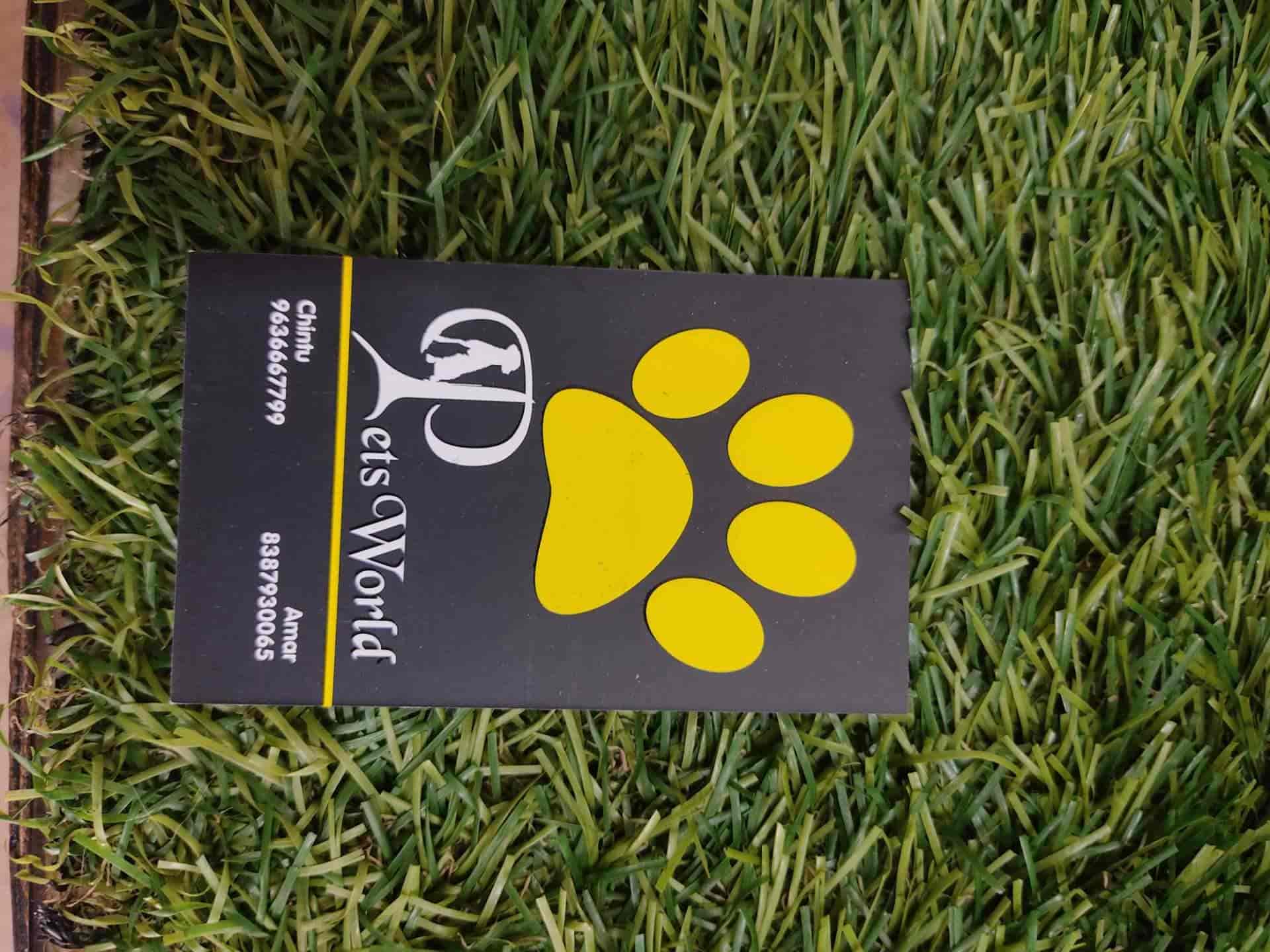 Pets World in Bais Godam,Jaipur Best Pet Shops in Jaipur Justdial