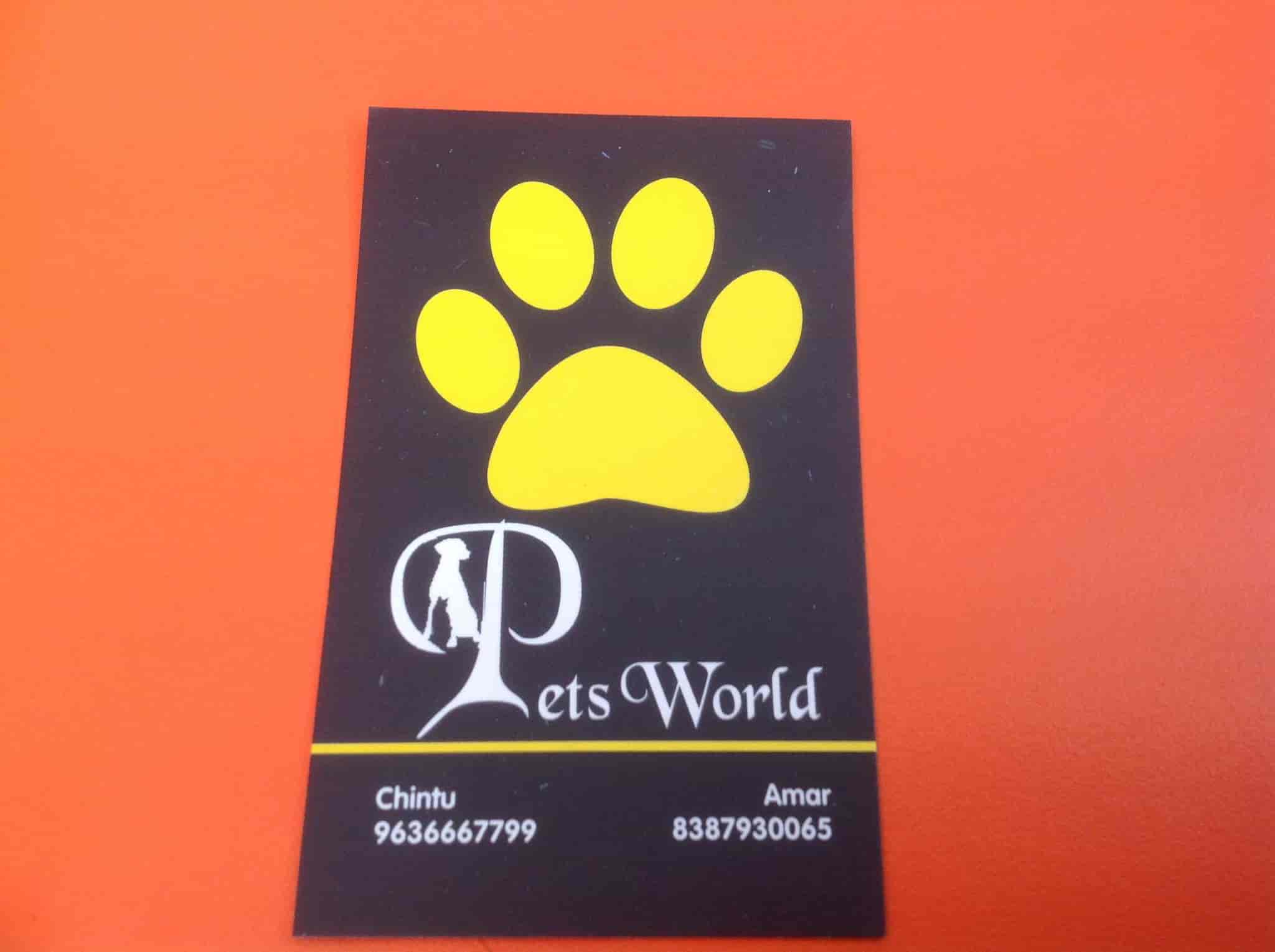 Pets World in Bais Godam,Jaipur Best Pet Shops in Jaipur Justdial