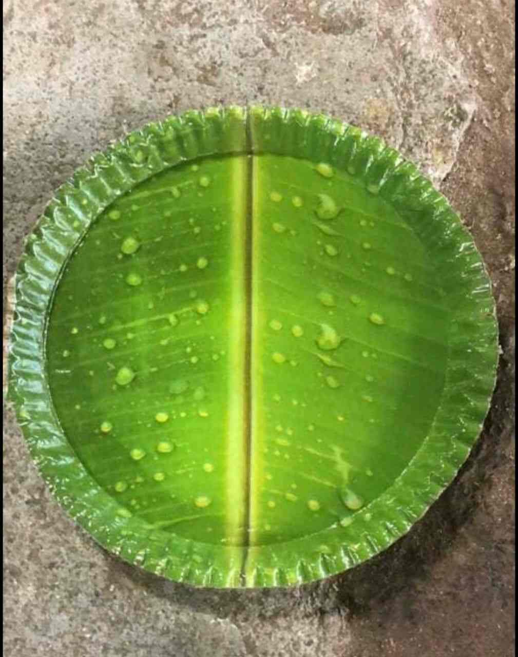 Top Paper Plate Wholesalers in Hazaribagh पेपर प्लेट व्होलेसलेर्स