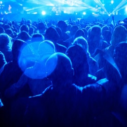 Night Clubs in Nehru Bazaar, Jaipur - Page 4