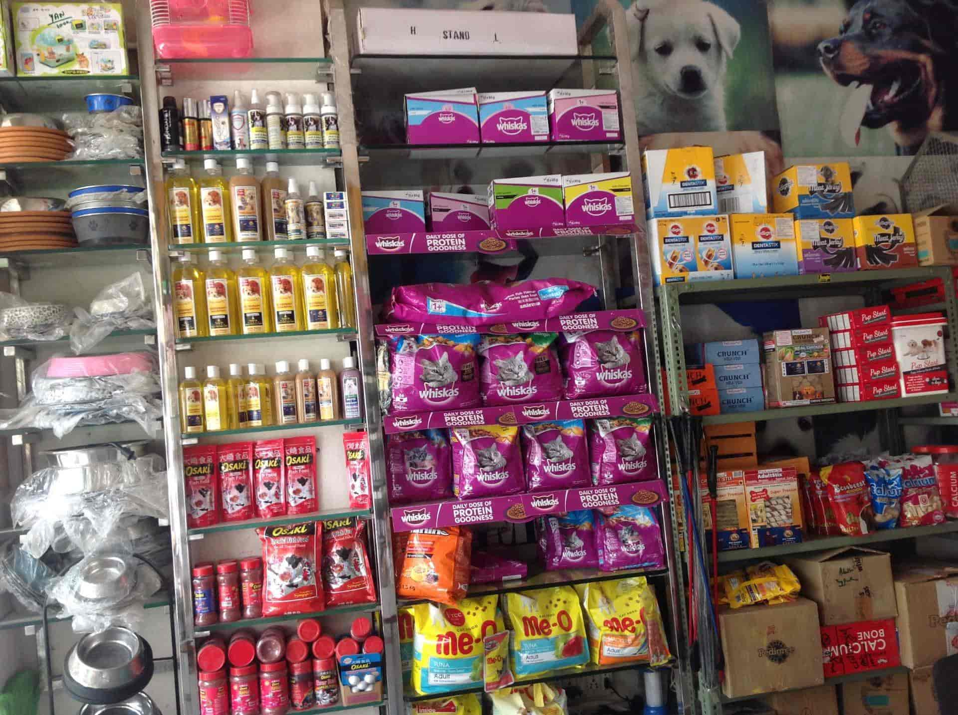 Top 100 Pet Shops For Cat in Jaipur Best Pet Shops For Kitten Justdial