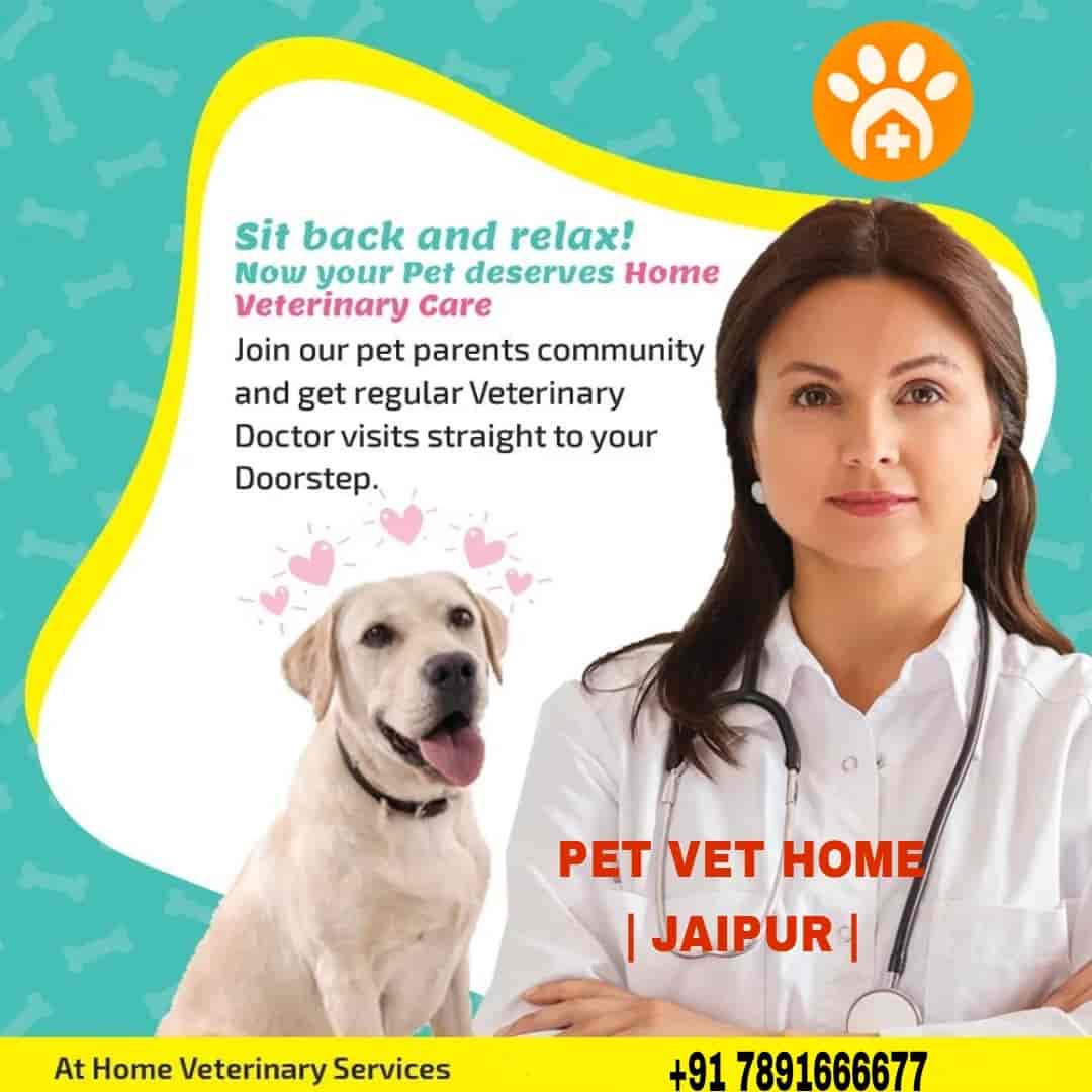 Animal Shelter Vca Gateway Animal Hospital Veterinarian In