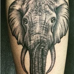 Xpose Tattoos in M I Road,Jaipur - Best Tattoo Artists near me in ...