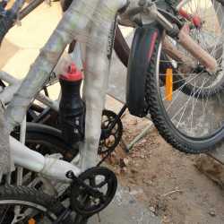 olx cycle for sale
