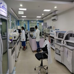 Tata 1mg Enters Rajasthan with Six Integrated Pharmacy and Diagnostics Stores in Jaipur – Medgate Today