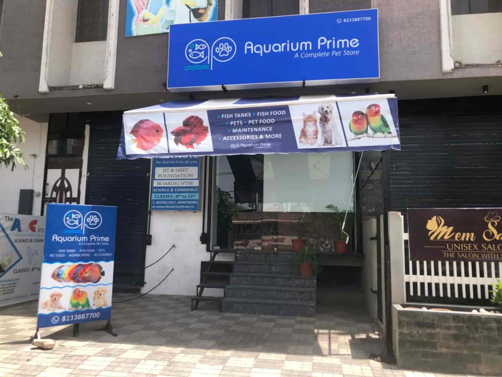 Aquarium Prime in Vidhyadhar Nagar,Jaipur Best Aquarium Platy Fish Dealers in Jaipur Justdial