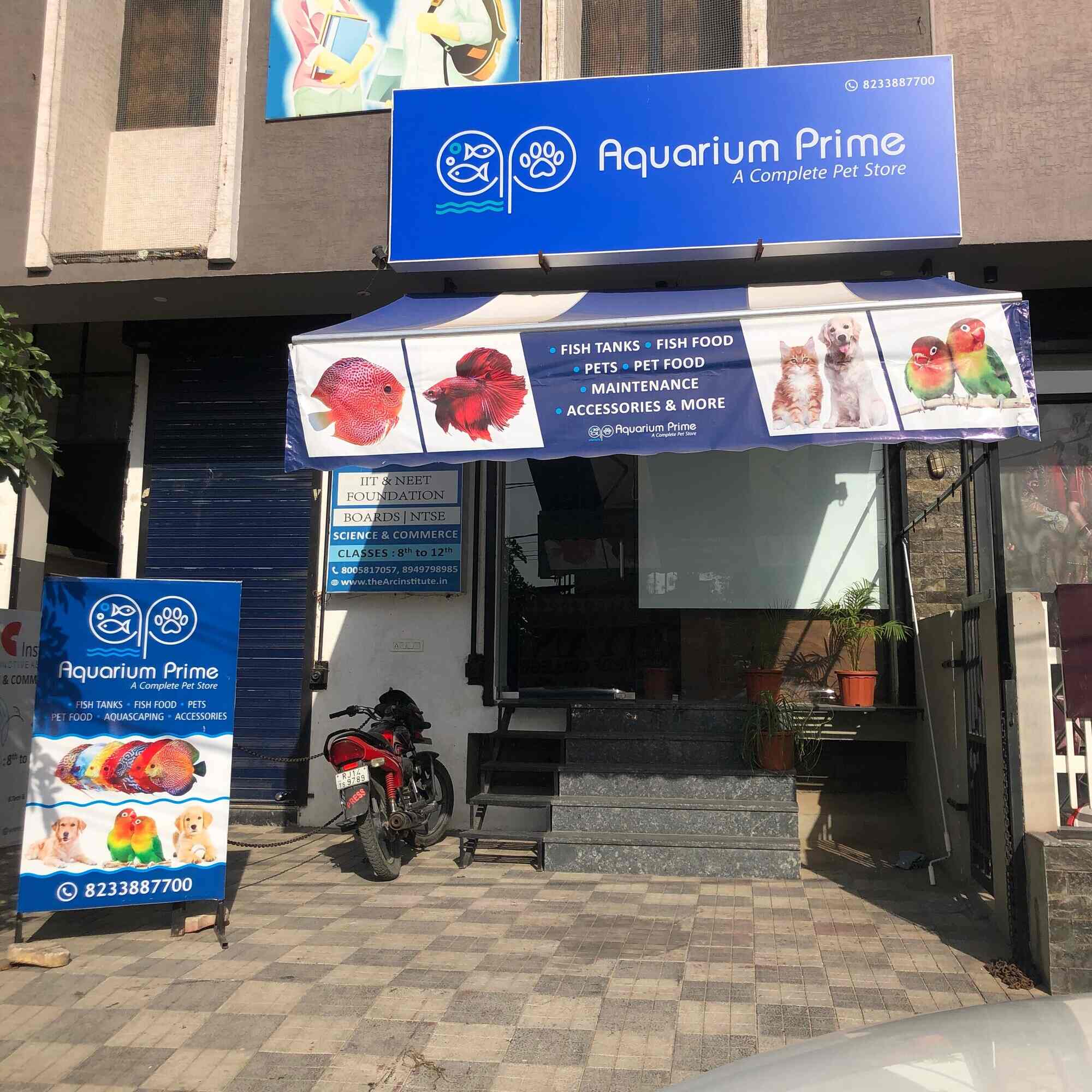 Aquarium Prime in Vidhyadhar Nagar,Jaipur Best Aquarium Platy Fish Dealers in Jaipur Justdial