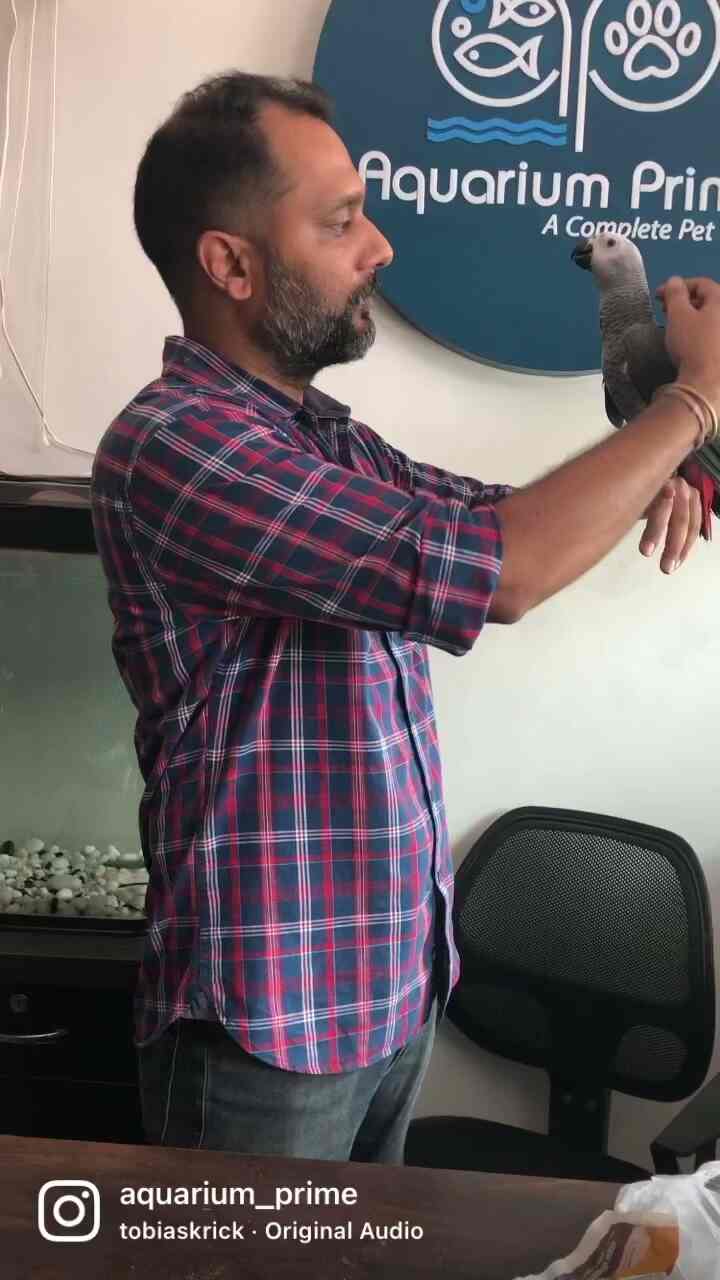 Aquarium Prime in Vidhyadhar Nagar,Jaipur Best Aquarium Platy Fish Dealers in Jaipur Justdial