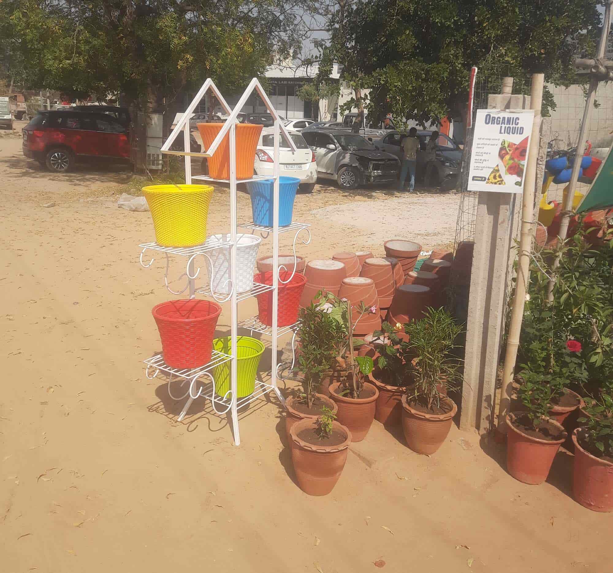 Janta Nursery & Cement Gamla in Jagatpura Getor,Jaipur Best Plant