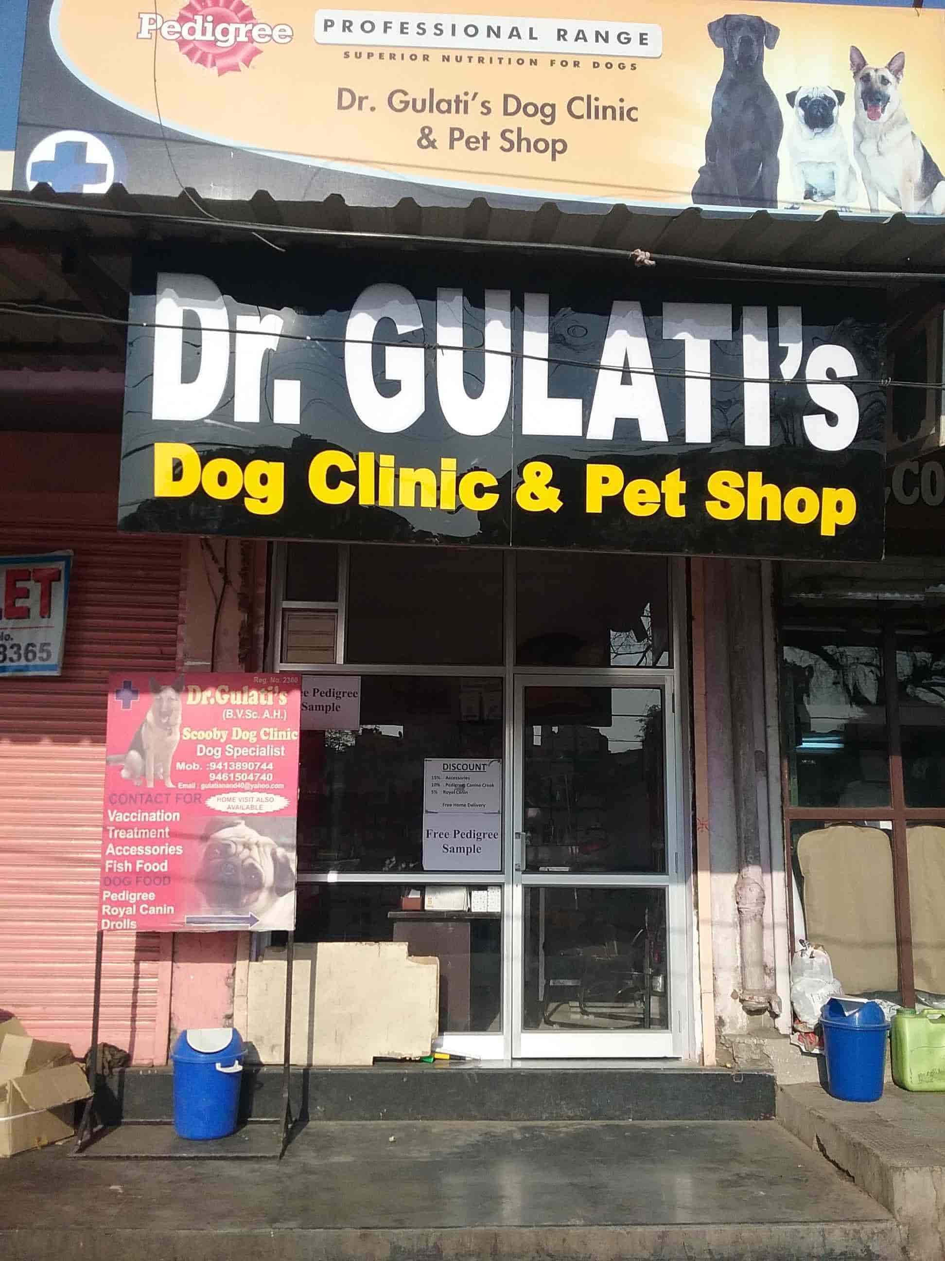 Top 20 On Call Veterinary Doctors In Jaipur Best Veterinary Doctors At Home Book Appointment Online Justdial