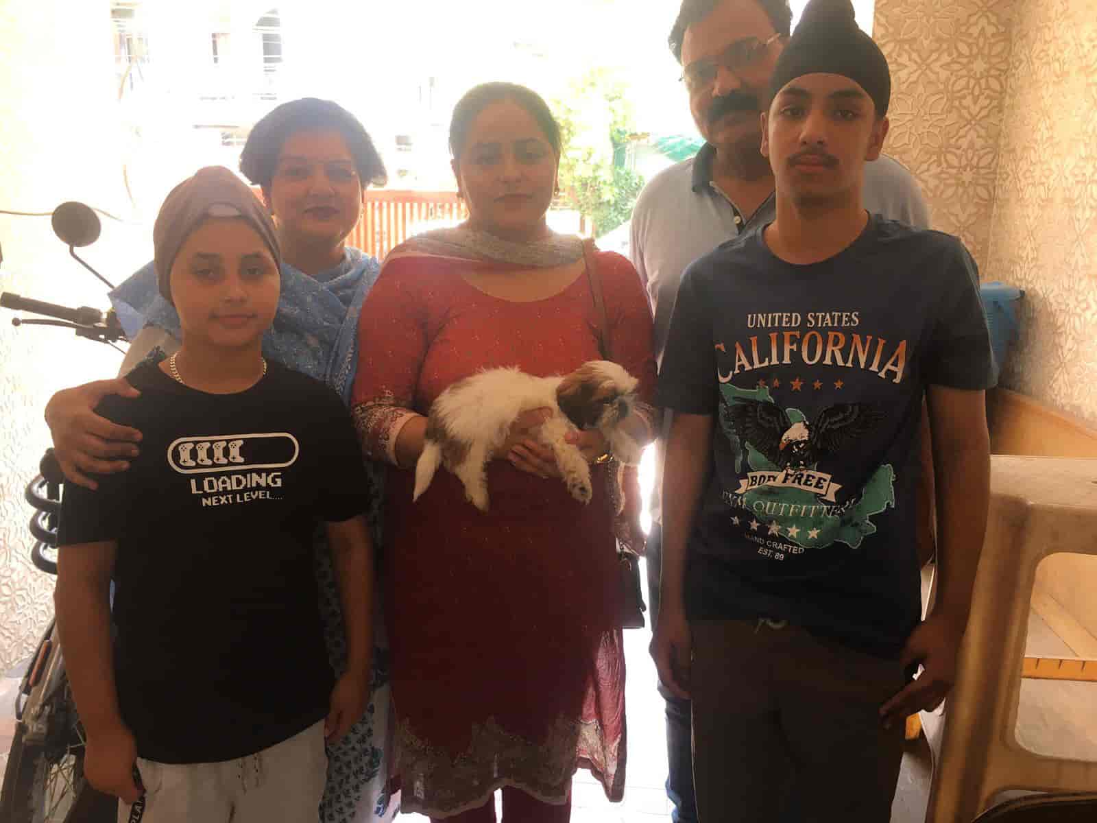 Top Pet Shops in Jalandhar Best Pet Store near me Justdial