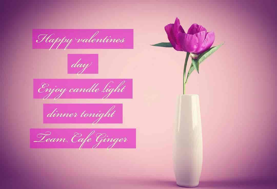 Cafe Ginger in Jawahar Nagar,Jalandhar Order Food Online Best Home