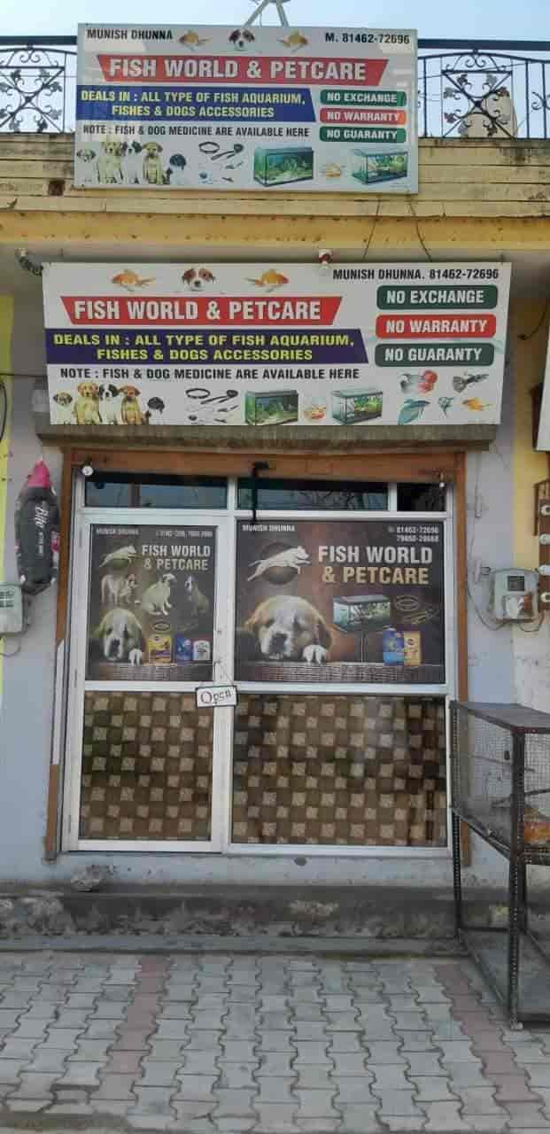 Fish World & Petcare in Apra,Jalandhar Best Pet Shops in Jalandhar