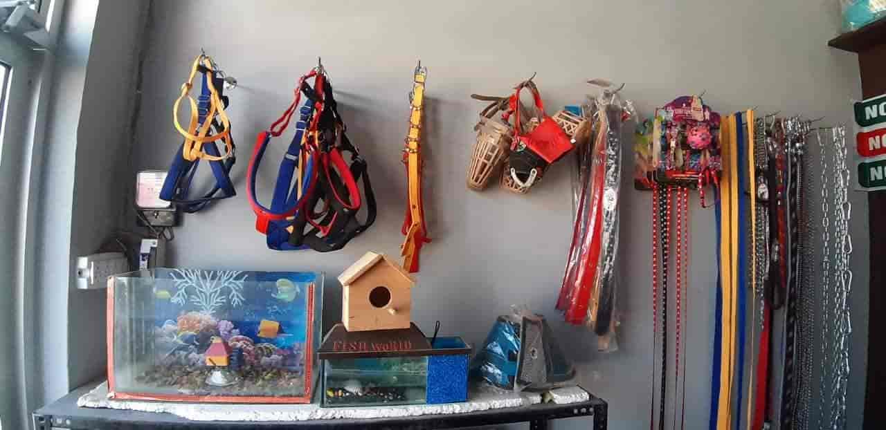 Fish World & Petcare in Apra,Jalandhar Best Pet Shops in Jalandhar