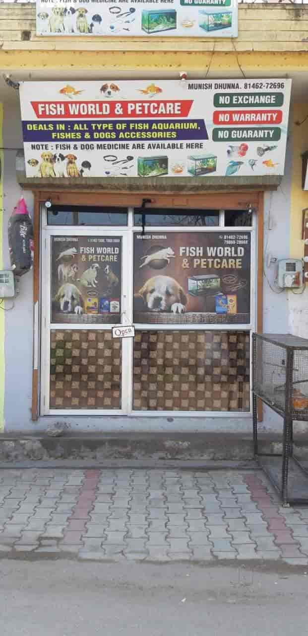 Fish World & Petcare in Apra,Jalandhar Best Pet Shops in Jalandhar