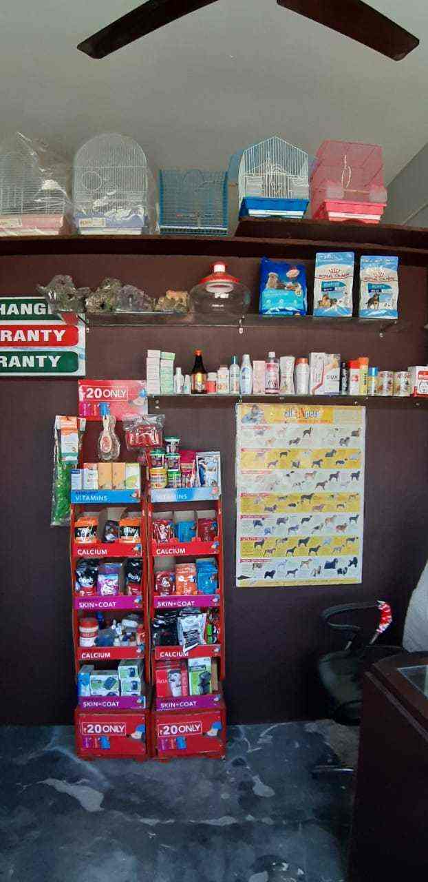 Fish World & Petcare in Apra,Jalandhar Best Pet Shops in Jalandhar