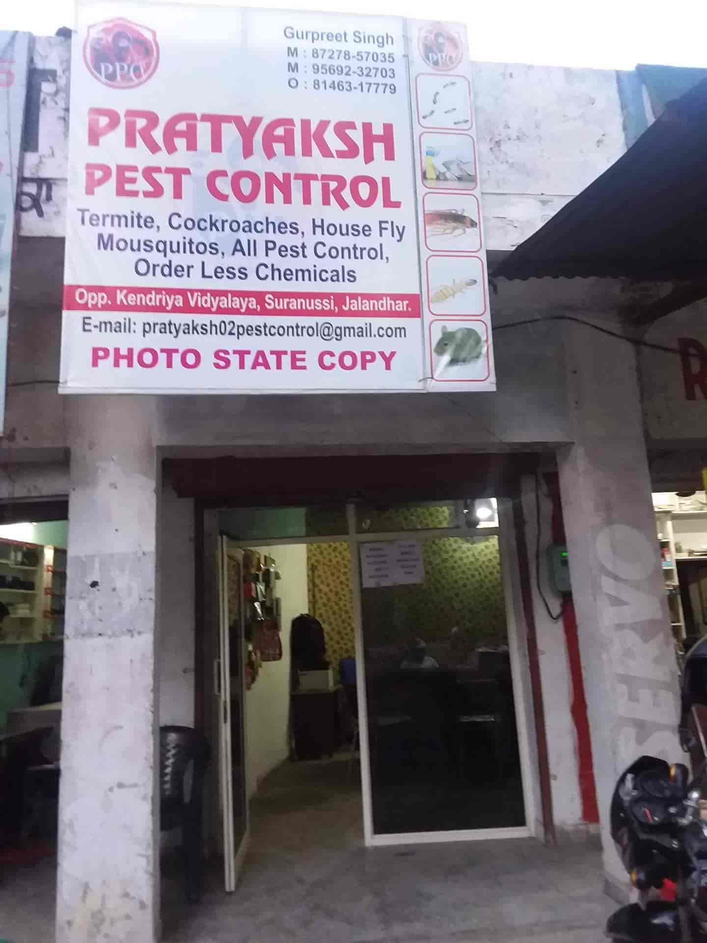 Pratyaksh Pest Control in Suranussi,Jalandhar Best Pest Control Services in Jalandhar Justdial