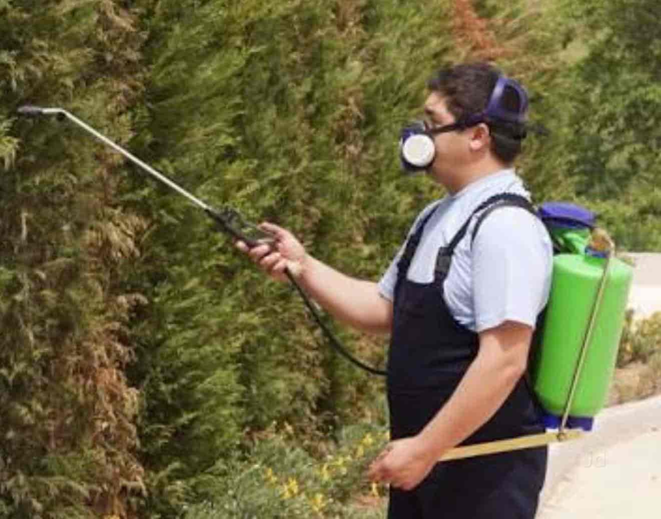 Pratyaksh Pest Control in Suranussi,Jalandhar Best Pest Control Services in Jalandhar Justdial