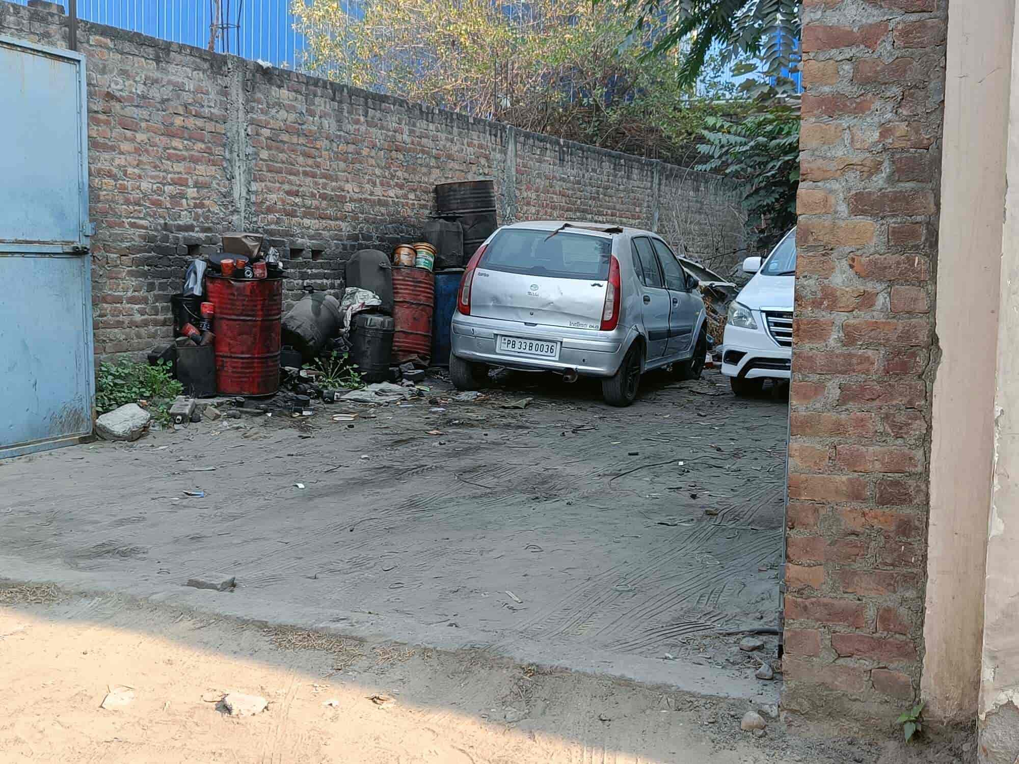 Top Pet Shops in Jalandhar Best Pet Store near me Justdial