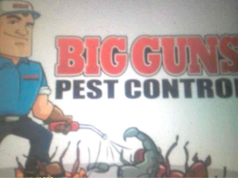 Pratyaksh Pest Control 2 in Model Town,Jalandhar Best Commercial Pest Control Services in
