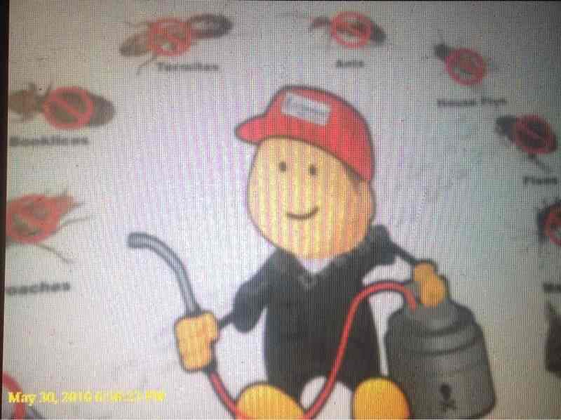 Pratyaksh Pest Control 2 in Model Town,Jalandhar Best Commercial Pest Control Services in