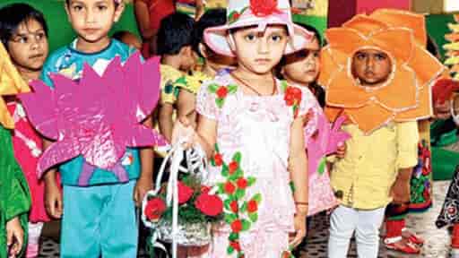 Variety Fancy Dress Solution - Costume 