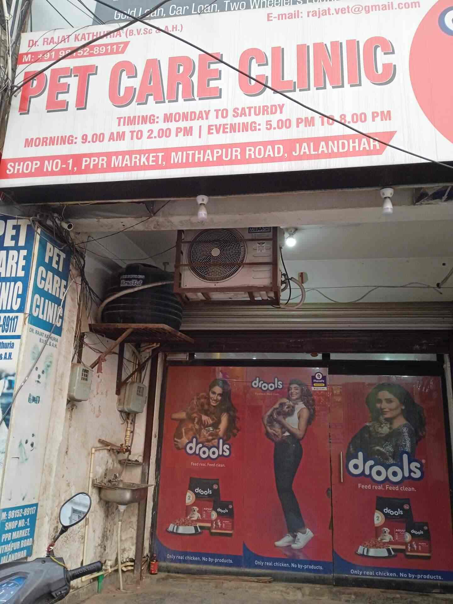 Top Pet Shops in Jalandhar Best Pet Store near me Justdial