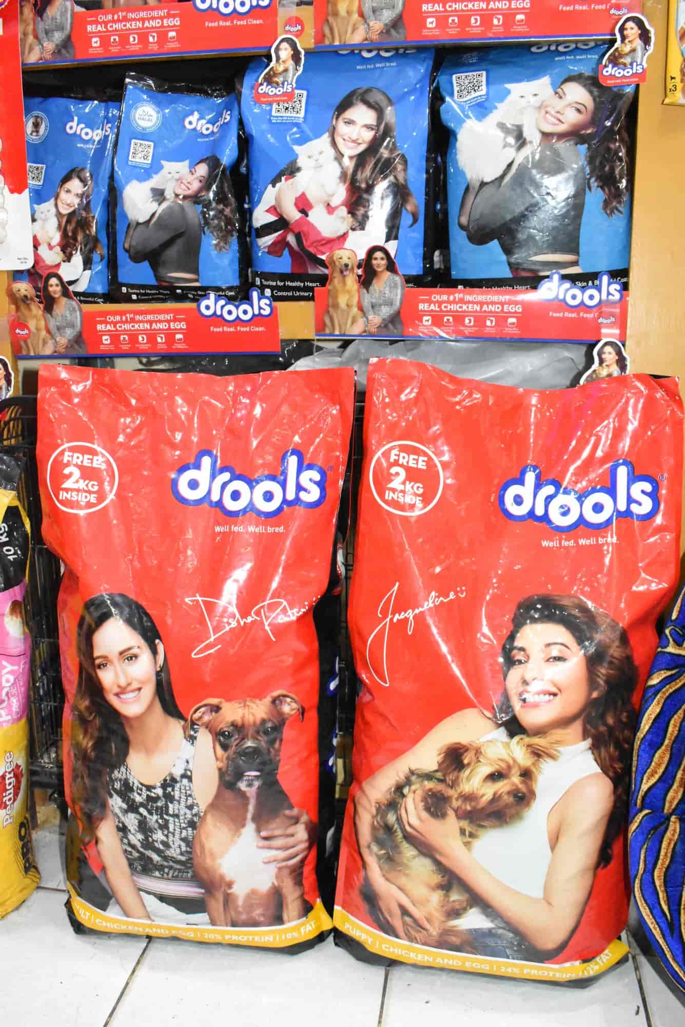 Top Pet Shops in Jalandhar Best Pet Store near me Justdial