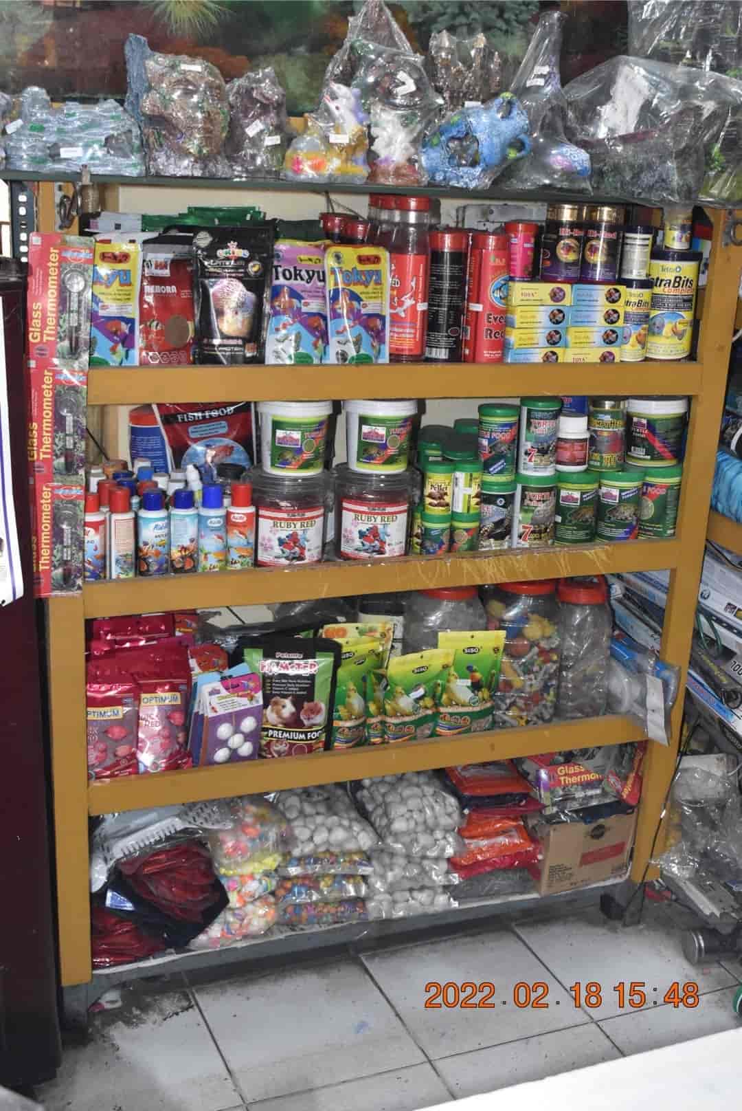 Top Pet Shops in Jalandhar Best Pet Store near me Justdial