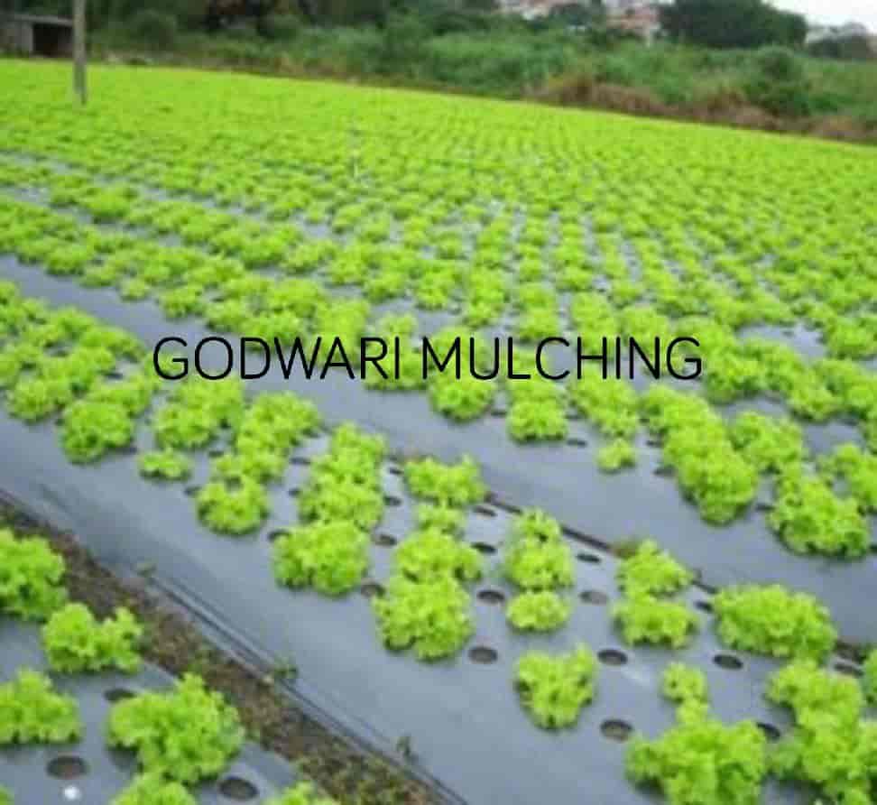 Drip Irrigation Pipes Drip Pipes Latest Price, 16MM Drip Irrigation