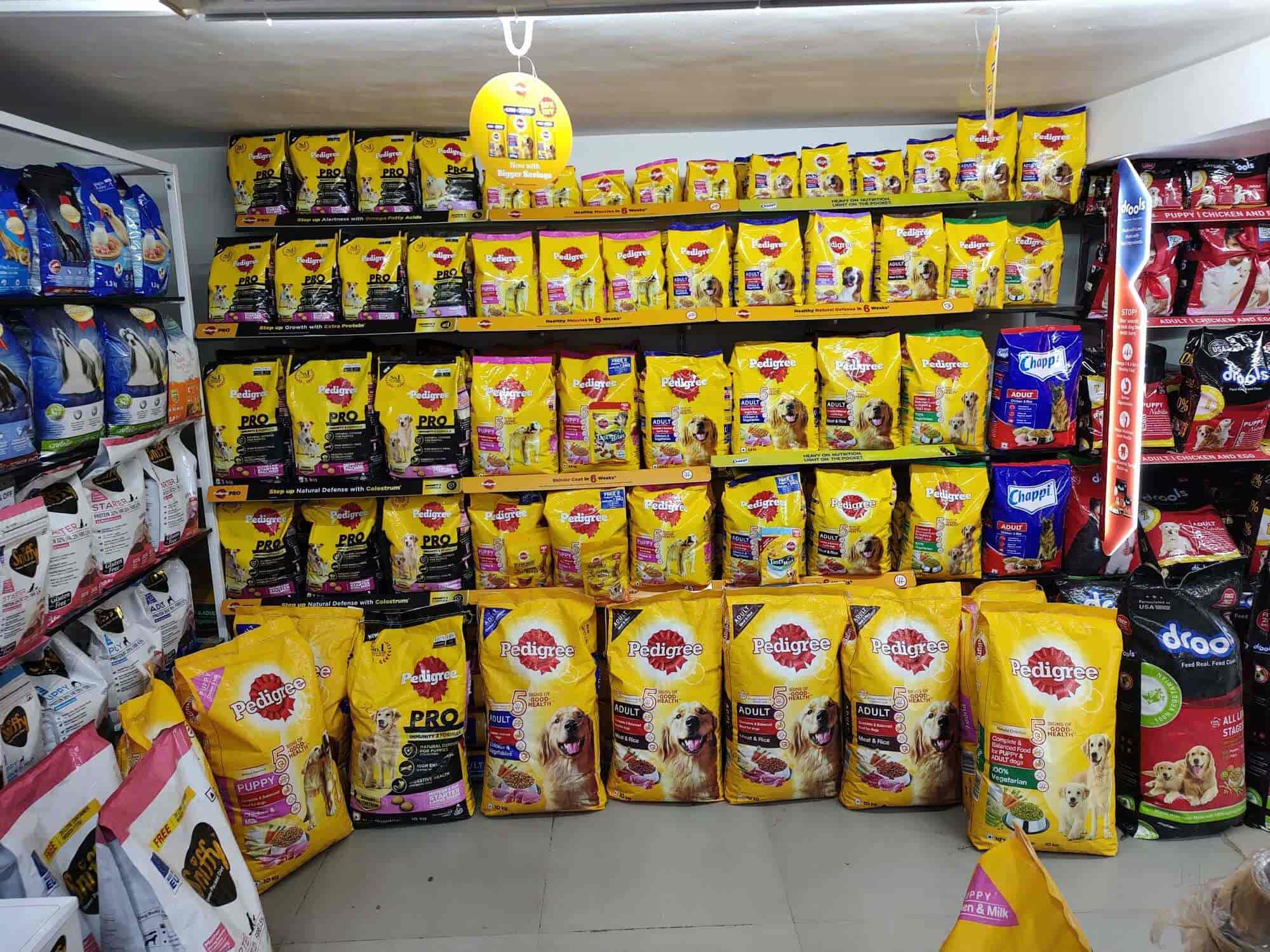 Ensuring Safety and Bird Control in Paradise Garden Akola — Expert Tips for Bird Nets, Invisible Grills, and Child Safety