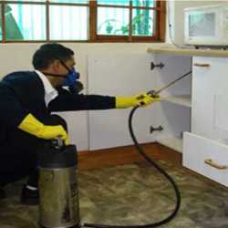 Residential pest control service