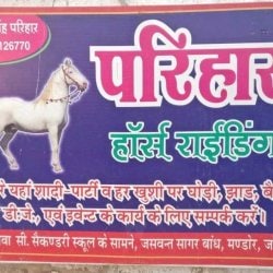 Top Horses On Hire in Jalore - Best Ghodi On Hire - Justdial