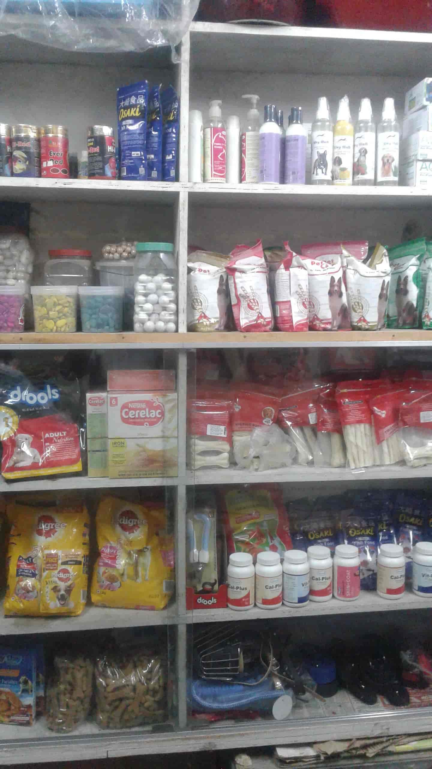 Top Pet Shops in Jalore Best Pet Store near me Justdial