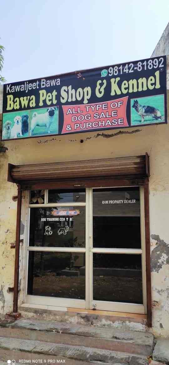 Top 30 Pet Shops in Jammu Best Pet Store & Suppliers Justdial