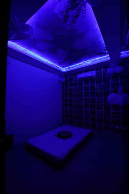 Top Massage Centres For Men in Chani Himat Best Body Massage Centres