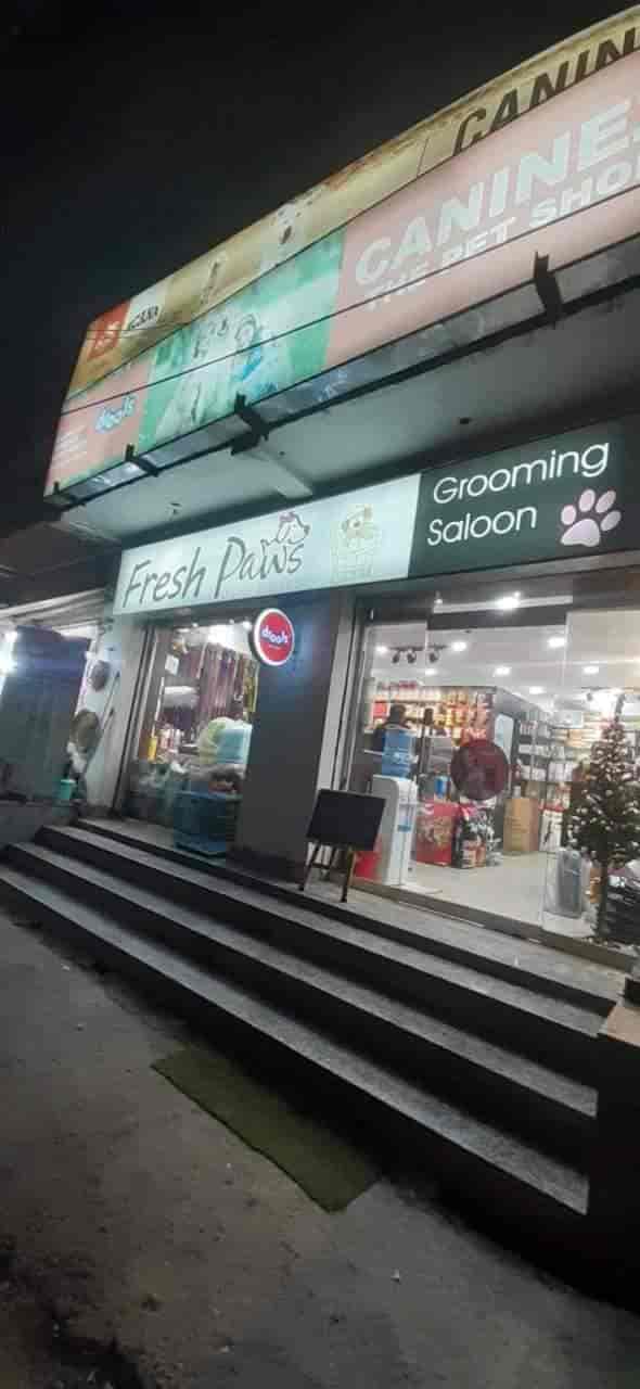 Top 30 Pet Shops in Jammu Best Pet Store & Suppliers Justdial