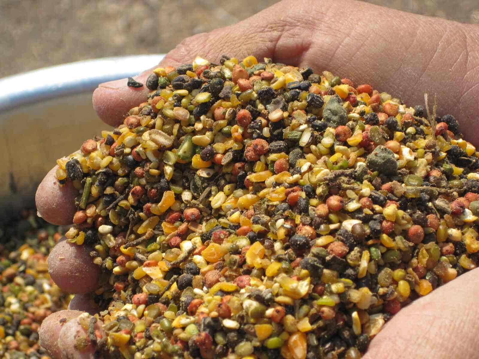 Top Animal Feed Manufacturers in Darjeeling एनिमल फीड मनुफक्चरर्स