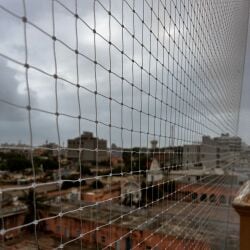 Enhancing Safety and Bird Control in Shivar Garden, Akola – Expert Solutions for Modern Homes and Society