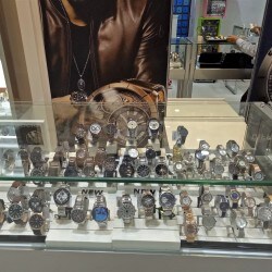 world of titan bistupur